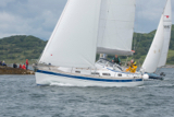 puffin gbr4257l whyw16 sun 800 1437w